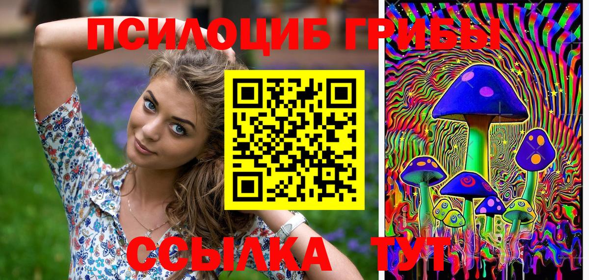 Псилоцибиновые грибы GOLDEN TEACHER  Галлюциногенные грибы ЛСД  Нижнеудинск  Вход с VPN 